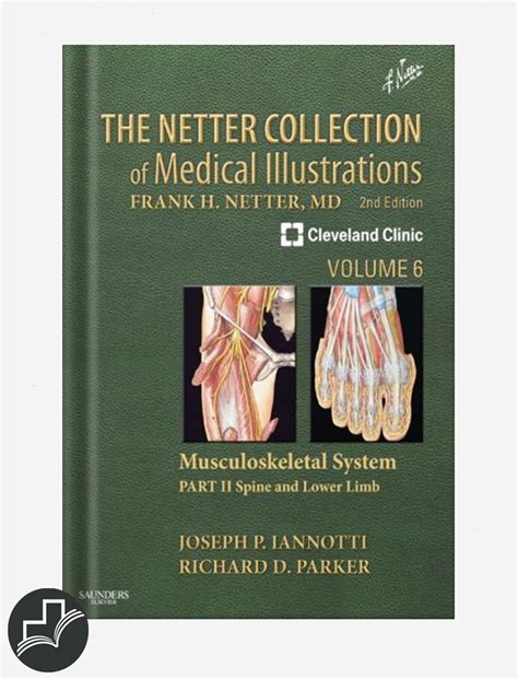 Full Download The Netter Collection Of Medical Illustrations Musculoskeletal System Volume 6 Part Ii Spine And Lower Limb 2E Netter Green Book Collection 