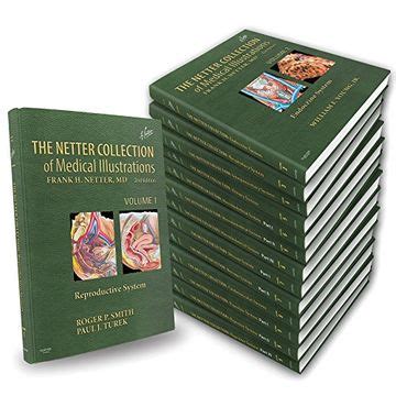 Read Online The Netter Collection Of Medical Illustrations The Endocrine System Volume 2 2E Netter Green Book Collection 