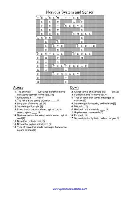 Read The Neuron And Nervous System Crossword Puzzle Answers 