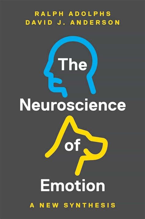 Full Download The Neuroscience Of Emotion A New Synthesis 