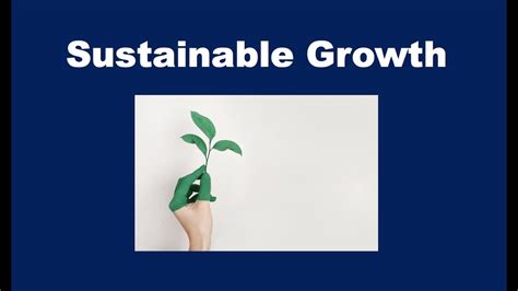 Full Download The Path To Sustained Growth 