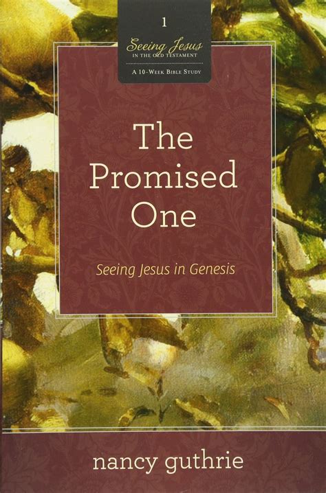 Full Download The Promised One Seeing Jesus In The Old Old Testament 
