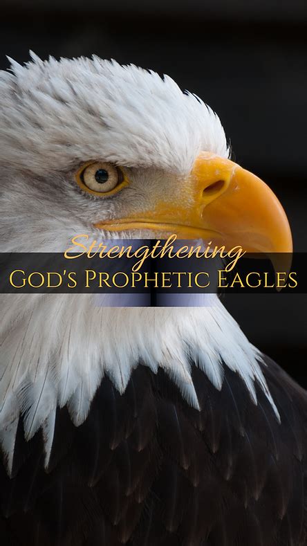 Read Online The Prophetic Ministry Eagle Missions 