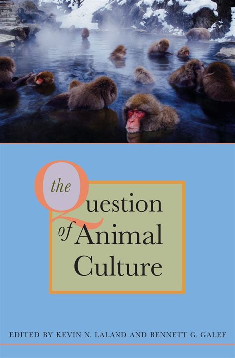 Full Download The Question Of Animal Culture Hardcover 