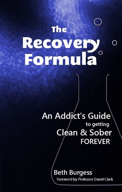 Read The Recovery Formula An Addicts Guide To Getting Clean And Sober Forever 