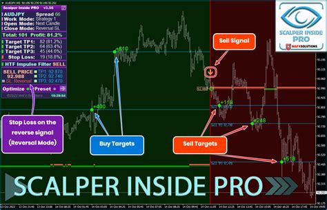 Read The Scalper 