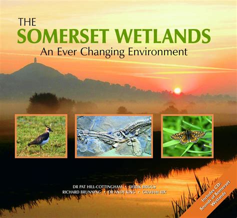 Download The Somerset Wetlands An Ever Changing Environment 