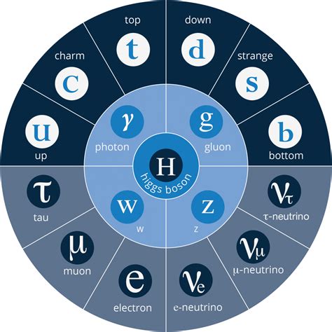 Image related to the-standard-model