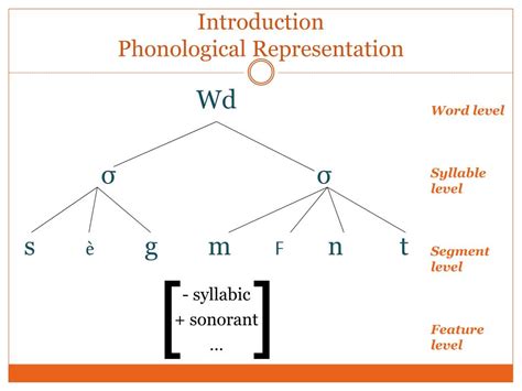 Read Online The Structure Of Phonological Representations Part Ii Part 2 