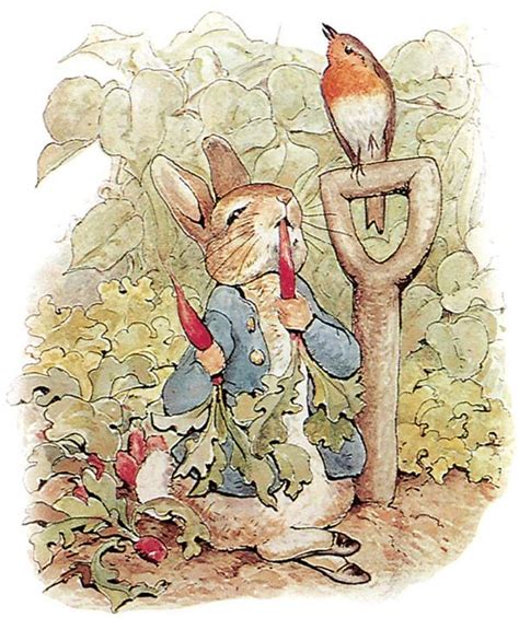 Read The Tale Of Peter Rabbit Beatrix Potter Originals 