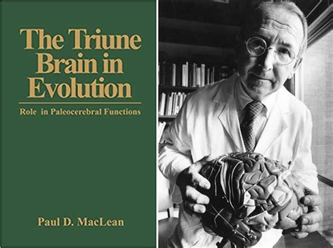 Read Online The Triune Brain In Evolution Role In Paleocerebral Functions Author Paul D Maclean Published On February 1990 