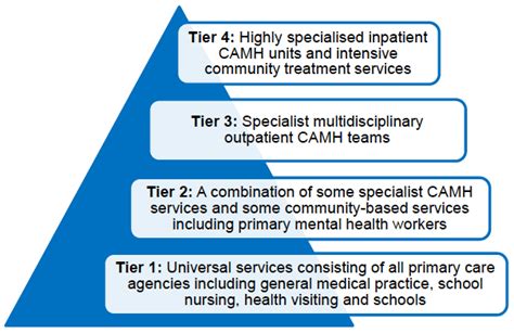 Read The Views And Experiences Of Camhs Tiers 1 And 2 Services 