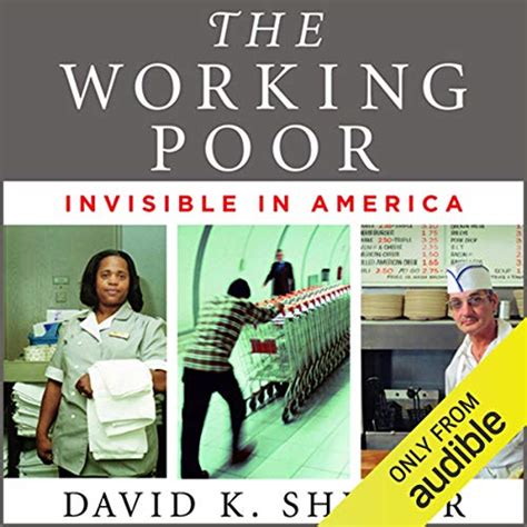 Full Download The Working Poor Invisible In America 