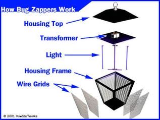 Full Download The Zapper What It Is How To Use It Zapperwise 