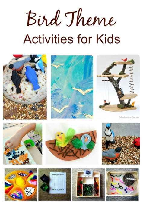 theme animals and birds