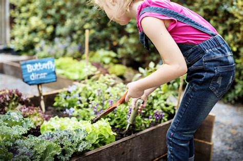 Theme Gardening With Kids 8211 Growing With Science Science Themes For Kids - Science Themes For Kids
