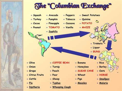 Theme Overview Of The Columbian Exchange Write Essay Columbian Exchange Worksheet Answers - Columbian Exchange Worksheet Answers