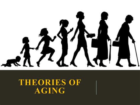 Theories Of Aging Ppt
