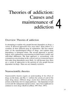 Full Download Theories Of Addiction Causes And Maintenance Addiction Of 4 