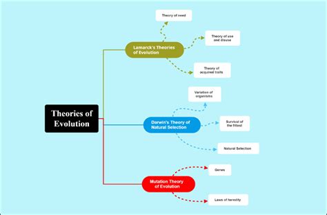 theory of evolution concept map answers