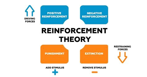 Theory Of Evolution Reinforcement And Study Guide