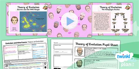 Theory Of Evolution Year 6 Lesson Pack 3 Evolution Worksheet 6th Grade - Evolution Worksheet 6th Grade