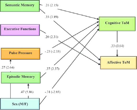 Theory Of Mind Tom