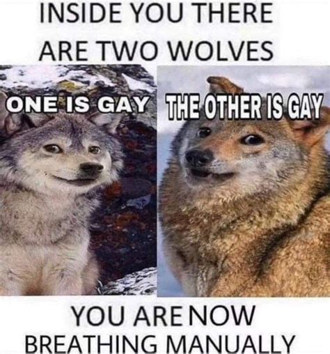 There are two wolves inside me meme