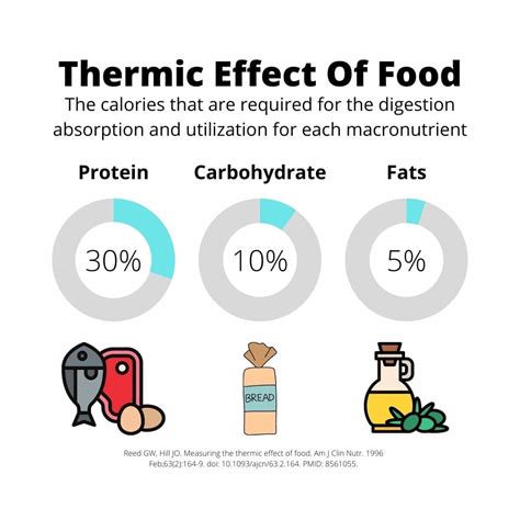 Thermic Effect Of Activity