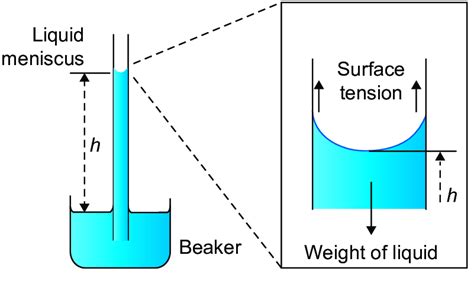 thermodynamics - How fast does liquid rise in a capillary tube ...