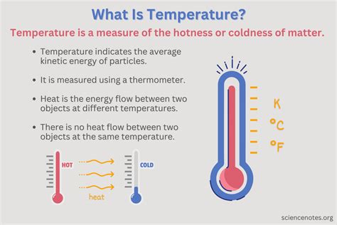 Thermometer Definition And Examples Biology Online Dictionary Thermometer In Science - Thermometer In Science