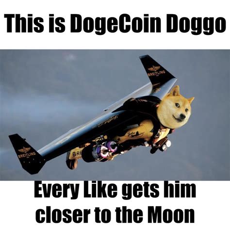 These Dogecoin Memes Are Going Straight To The Dogecoin Memes - Dogecoin Memes