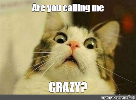 They Calling Me Crazy