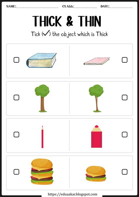 Thick And Thin Worksheet