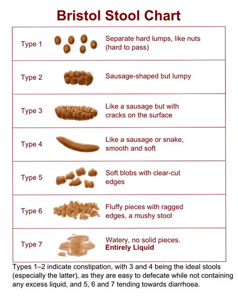 Full Download Thin Poop Manual Guide 