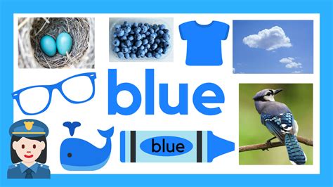Things That Are Blue Learning Colors For Kids Blue Color Objects For Kids - Blue Color Objects For Kids