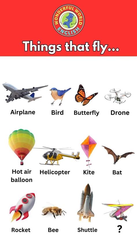 Things That Fly
