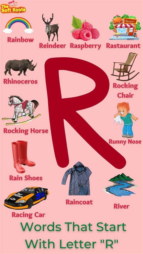 Things That Start With An R 160 Ideas Body Parts Beginning With R - Body Parts Beginning With R