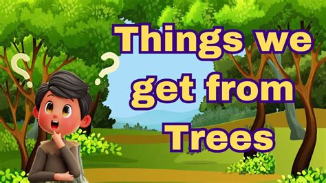 Things We Get From Trees