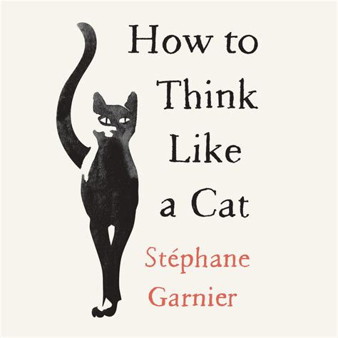 Think Like A Cat How To Raise A Well Adjusted Cat Not A Sour Puss