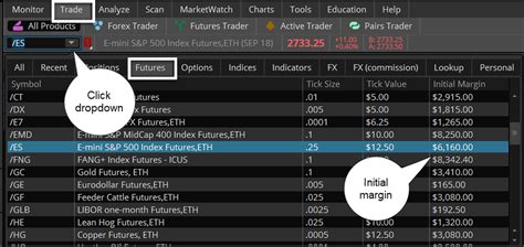 thinkorswim futures margin requirements - cn.onnuri.org