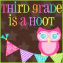 Third Grade Is A Hoot Simple Solutions Third Grade Math Book - Third Grade Math Book