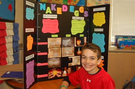 Third Grade Videos Science Buddies Scientific Method For Third Grade - Scientific Method For Third Grade