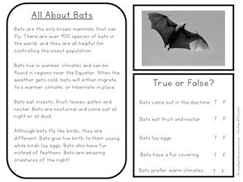 Download Third Grade Fcat Mini Bats Pdf 