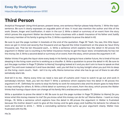 Download Third Person Paper Examples 
