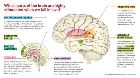 This Is Your Brain On Food