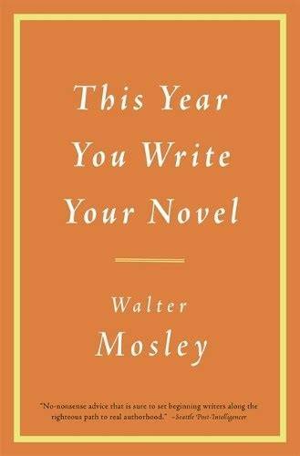 this year you write your novel english edition