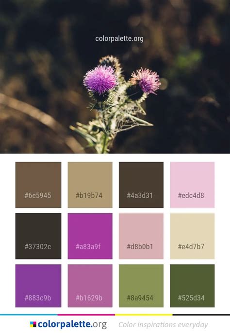 thistle color