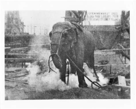 Thomas Edison Elephant