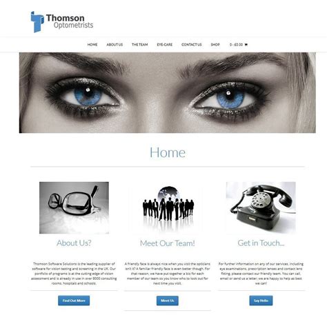Full Download Thomson Software Solutions 